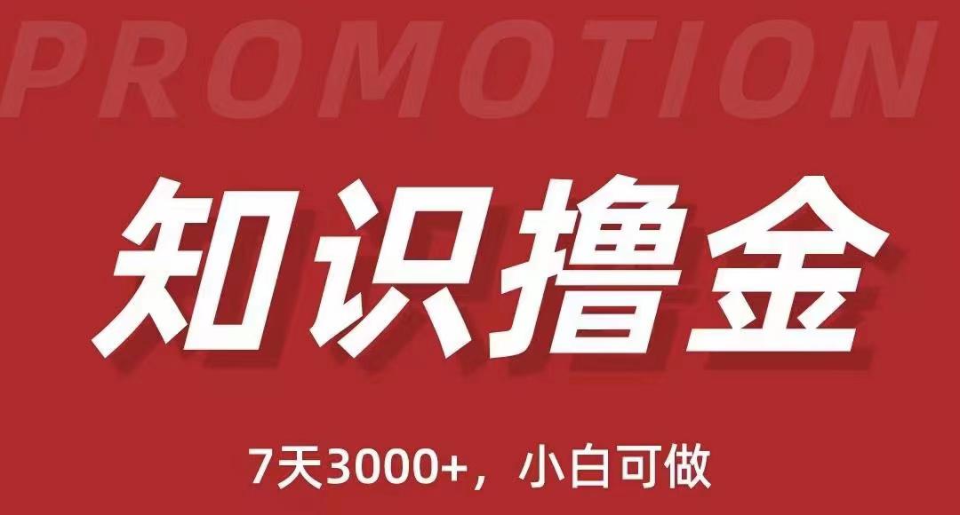 【抖音知识撸金教程】简单粗暴，日入1000，当天见收益！