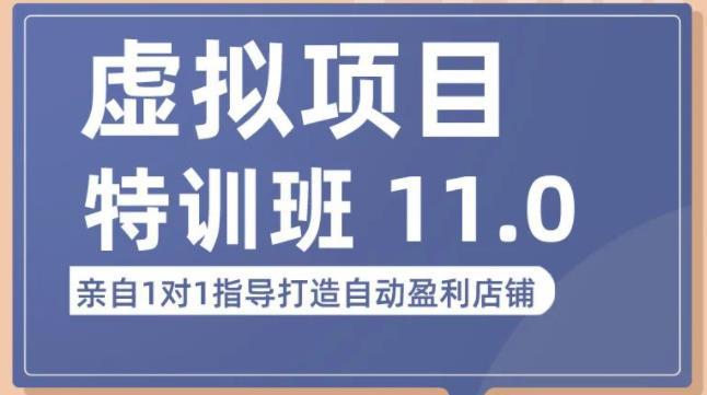 陆明明·虚拟项目特训班（10.0+11.0），0成本获取虚拟素材，0基础打造自动盈利店铺