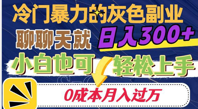 冷门暴利的副业项目，聊聊天就能日入300+，0成本月入过万【揭秘】