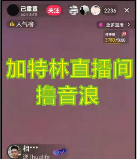 2023抖音加特林直播间搭建技术，0粉开播-暴力撸音浪-日入800+【素材+教程】