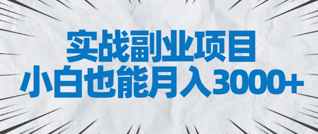 实战副业项目，小白也能月入3000+，易上手，人人可做【视频教程】
