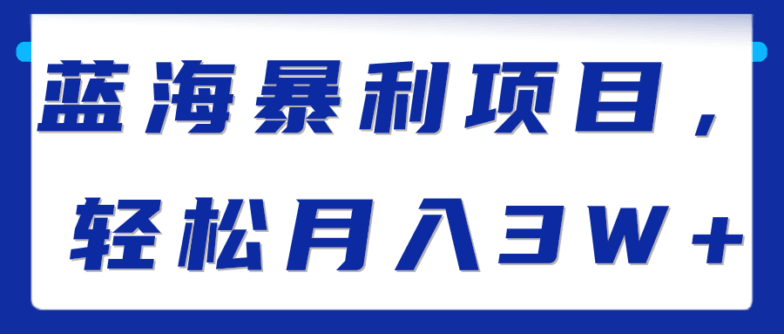 蓝海暴利项目，轻松月入3W+【视频教程】