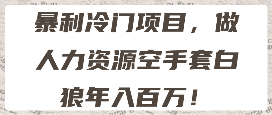 暴利冷门项目，做人力资源空手套白狼年入百万！【视频教程】