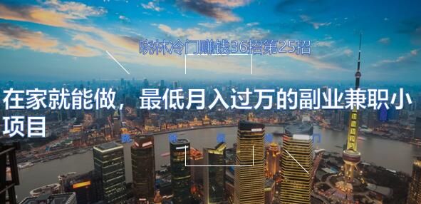 晓林冷门赚钱36招第25招在家就能做，最低月入过万的副业兼职小项目【视频课程】