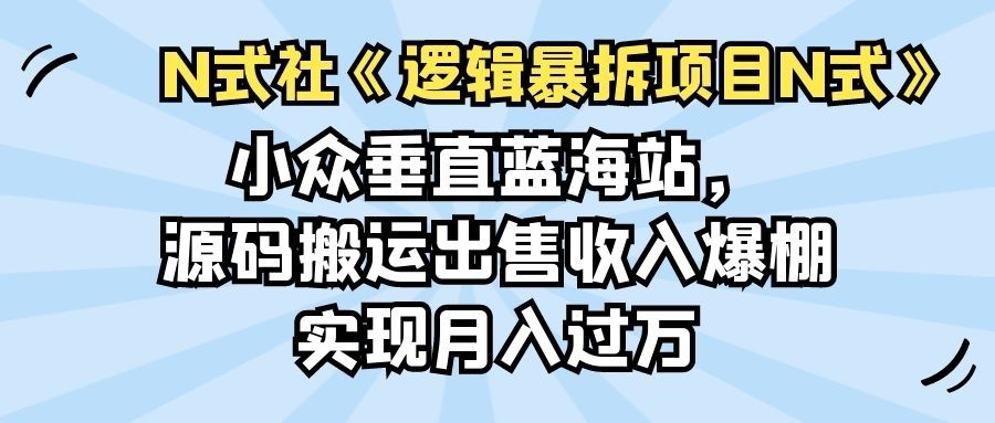 小众垂直蓝海站，源码搬运出售收入爆棚实现月入过万