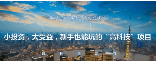 晓林冷门赚钱36招第10招小投资，大受益，新手也能玩的“高科技”项目【视频课程】