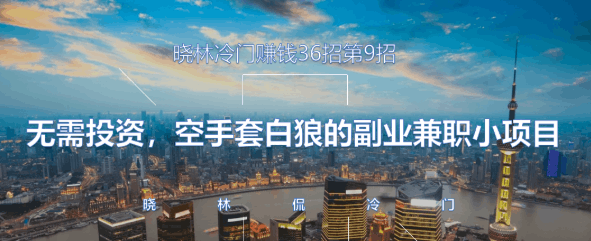 晓林冷门赚钱36招第9招无需投资，空手套白狼的副业兼职小项目【视频课程】