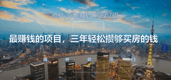 晓林冷门赚钱36招第7招最赚钱的项目，三年轻松攒够买房的钱【视频课程】