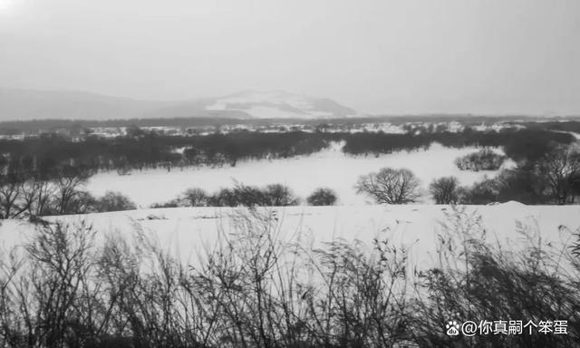 东北简直是E人“天堂” 探路旅游经济高质量发展