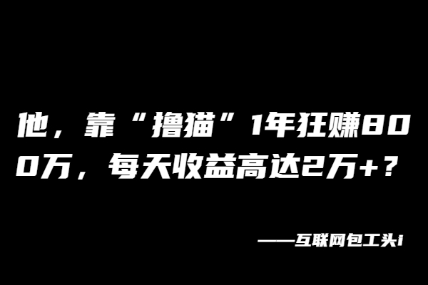 他，靠“撸猫”1年狂赚800万，每天收益高达2万+？