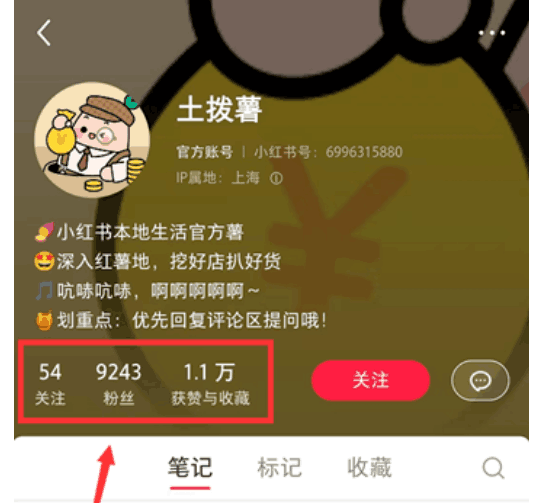 【小红书探照灯计划】如何入住？探店博主变身推广员