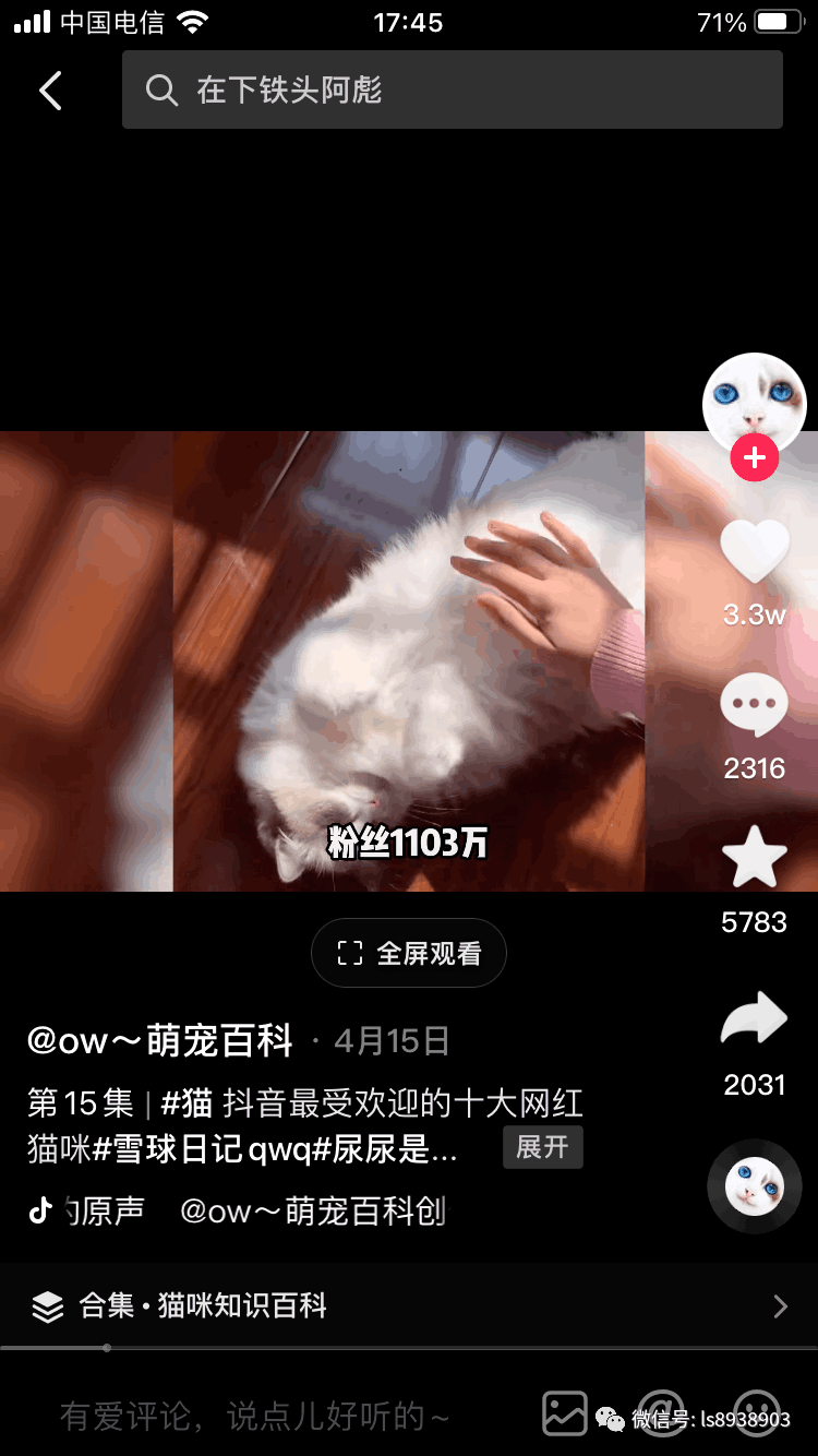 日入800+ 新手无脑搬运中视频合集项目