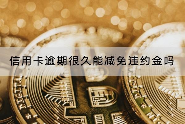 信用卡逾期很久能减免违约金吗？详细解析