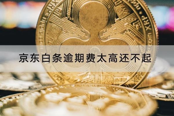 京东白条逾期费太高还不起怎么解决？这几个方法一定要知道