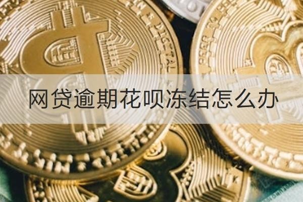 网贷逾期花呗冻结怎么办？这几个方法一定要知道