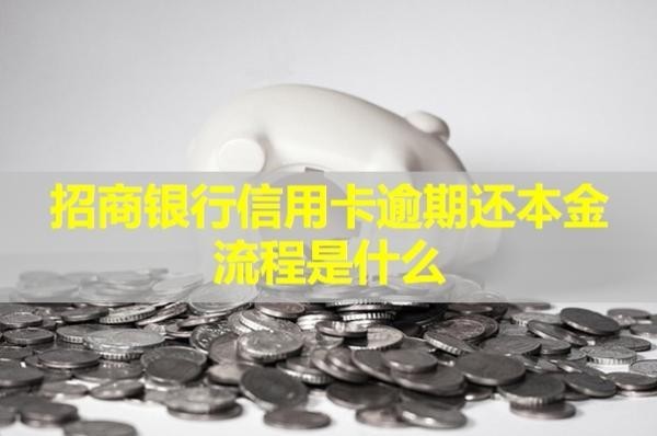 招商银行信用卡逾期还本金流程是什么？详细情况解析