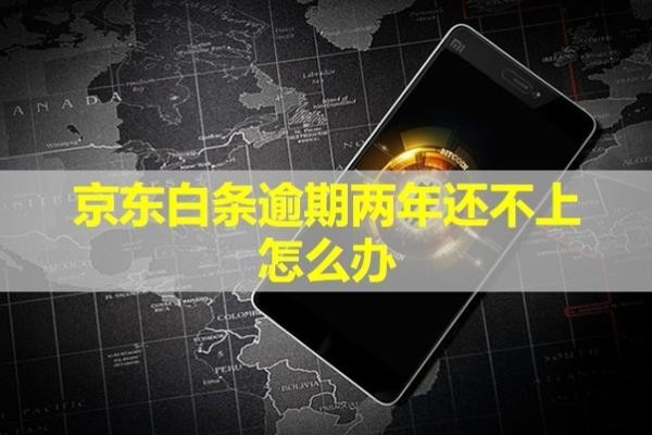 京东白条逾期两年还不上怎么办？会带来哪些后果呢？