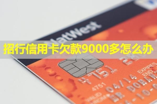 招行信用卡欠款9000多怎么办？可以参考这四种方式解决