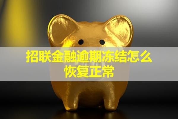 招联金融逾期冻结怎么恢复正常？试试这三种方式