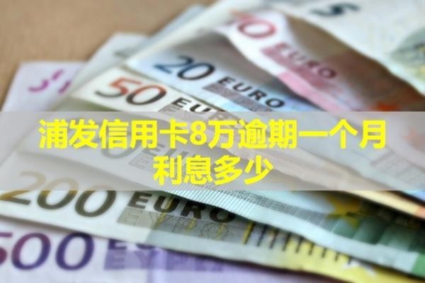 浦发信用卡8万逾期一个月利息多少？详细解析