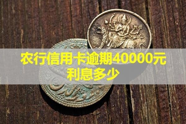 农行信用卡逾期40000元利息多少？快来看