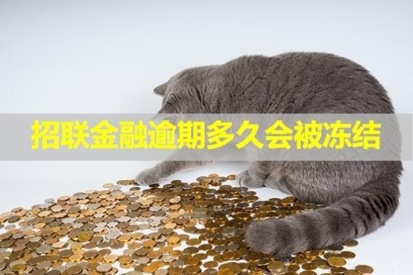 招联金融逾期多久会被冻结银行卡？这个时间很重要