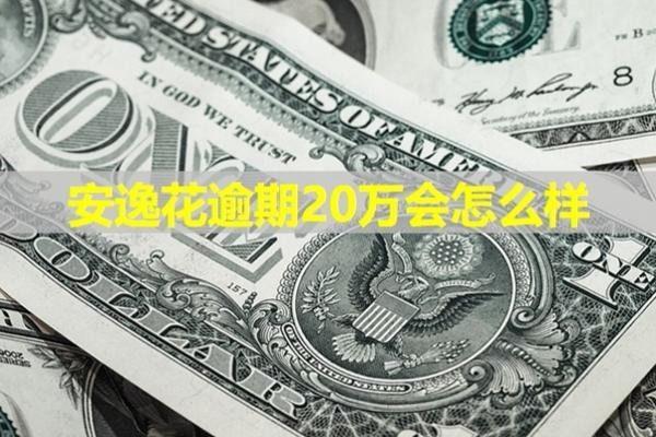 安逸花逾期20万会怎么样？详细解析