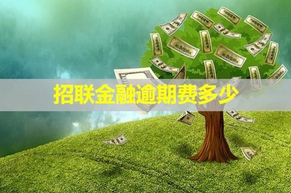 招联金融逾期费多少？压力巨大