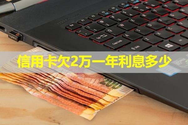 信用卡欠2万一年利息多少？一定要看