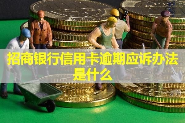 招商银行信用卡逾期应诉办法是什么？详细说明