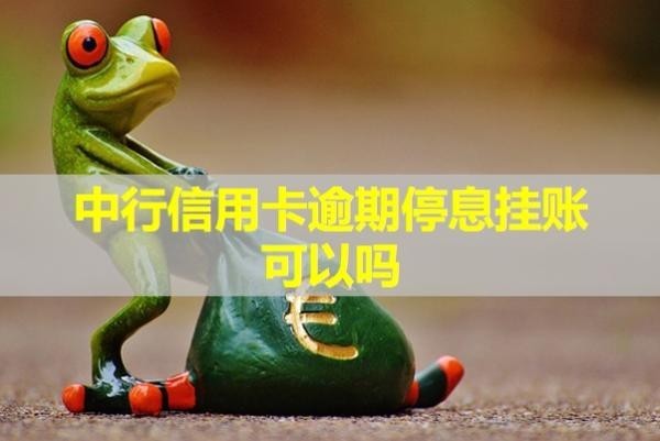 中行信用卡逾期停息挂账可以吗？最新