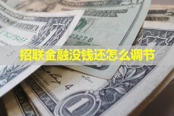 招联金融没钱还怎么调节？详细说明