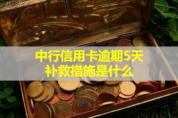 中行信用卡逾期5天补救措施是什么？可以这样处理