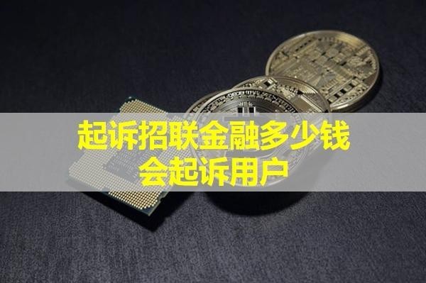 起诉招联金融多少钱会起诉用户？别超过这个金额