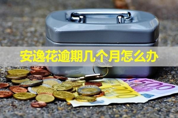 安逸花逾期几个月怎么办？最新