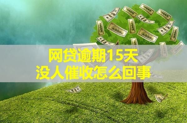 网贷逾期15天没人催收怎么回事？有这些因素