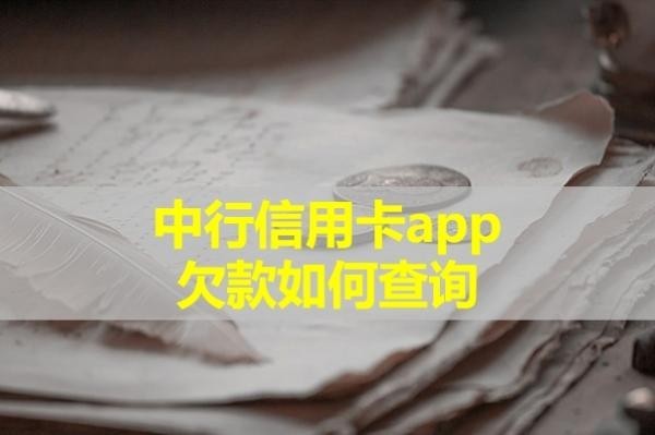 中行信用卡app欠款如何查询？详细内容