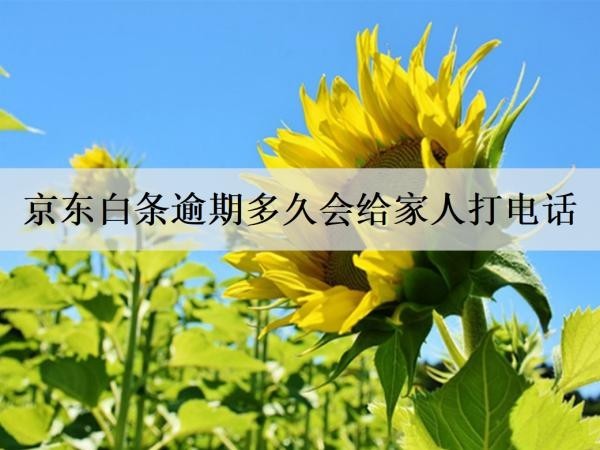 京东白条逾期多久会给家人打电话？多久不还会起诉？