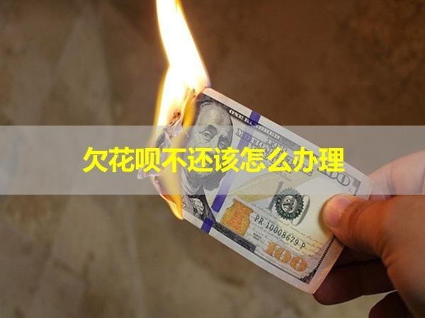 欠花呗不还该怎么办理？详细解析