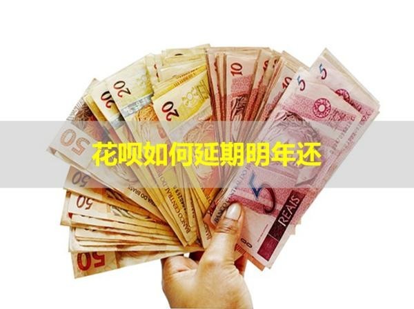 花呗如何延期明年还？详细流程