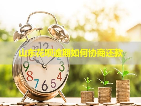 山东花呗逾期如何协商还款？四招搞定