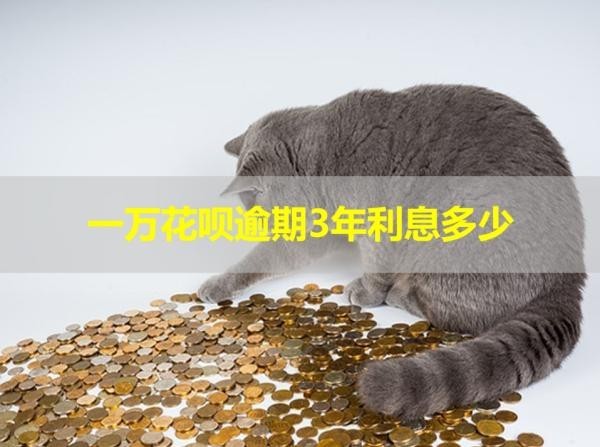 一万花呗逾期3年利息多少？详细说明