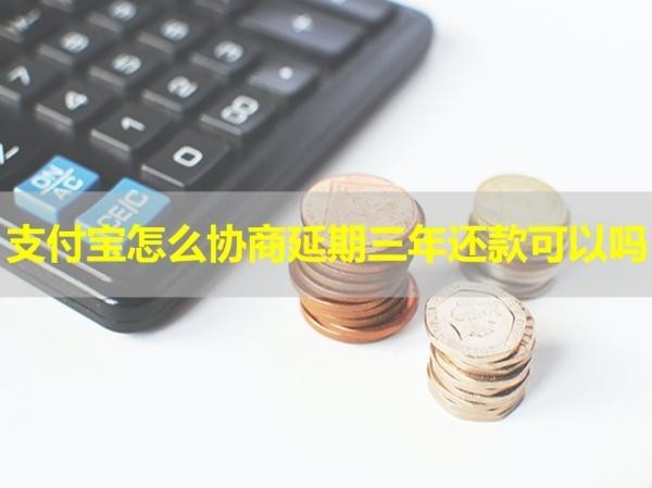 支付宝怎么协商延期三年还款可以吗？详细流程