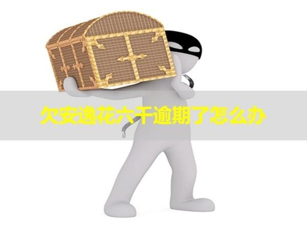 欠安逸花六千逾期了怎么办？详细解析