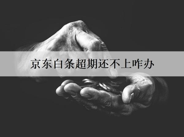 京东白条超期还不上咋办？京东白条还不上处理办法及后果