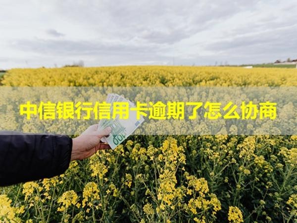 中信银行信用卡逾期了怎么协商？必看篇！