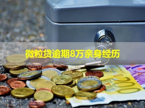 微粒贷逾期8万亲身经历，警惕！