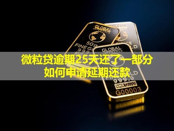 微粒贷逾期25天还了一部分如何申请延期还款？会被要求还全款吗？