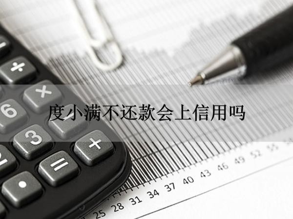 度小满不还款会上信用吗？答案不出所料