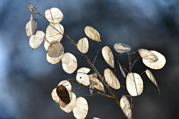 安逸花逾期起诉费用需要自己承担吗，利息太高该如何